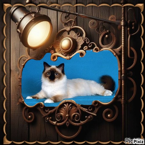 Ultima Maripeq of the Ada family