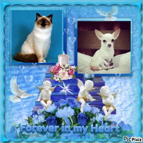 Ultima Maripeq of the Ada family