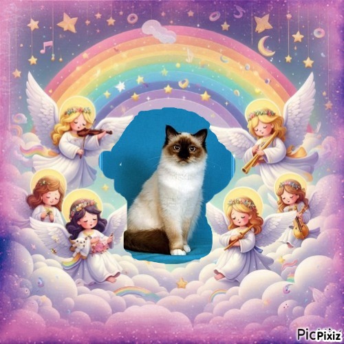 Ultima Maripeq of the Ada family