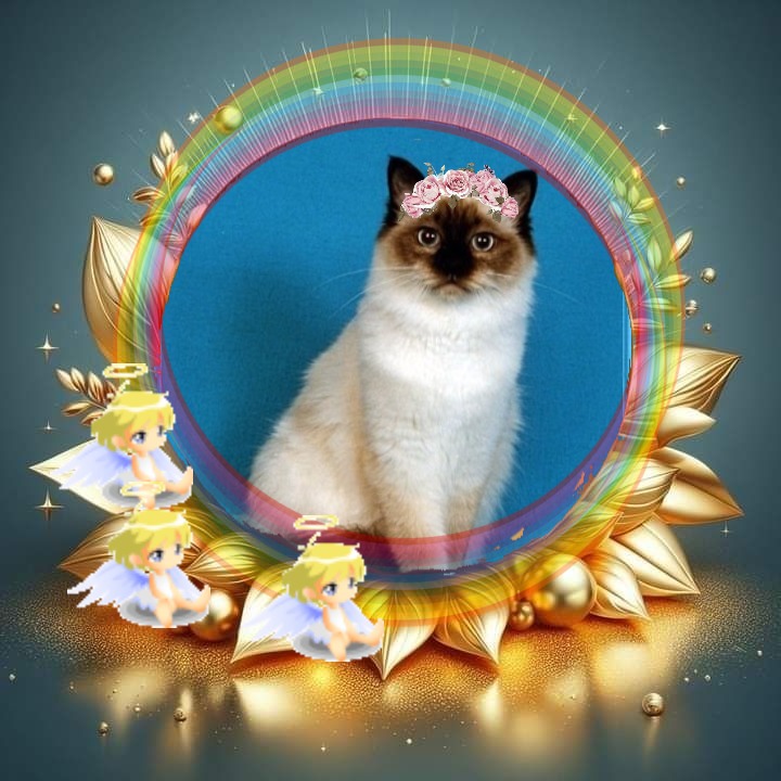 Ultima Maripeq of the Ada family