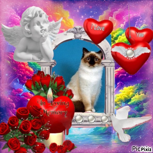 Ultima Maripeq of the Ada family