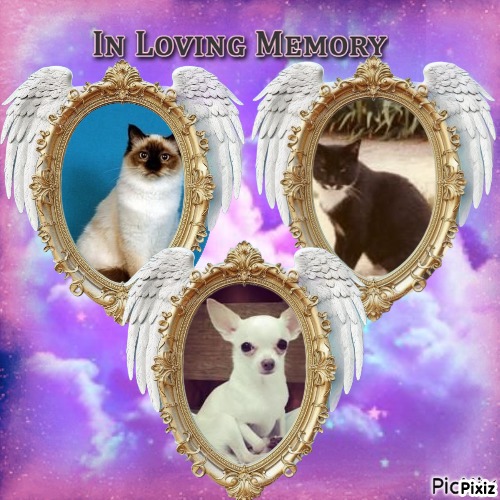 Ultima Maripeq of the Ada family