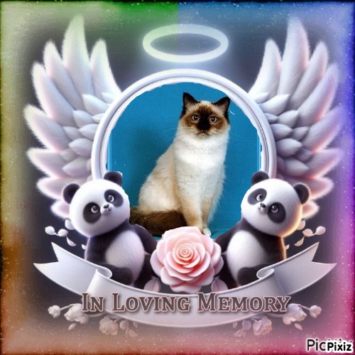 Ultima Maripeq of the Ada family