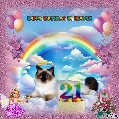 Ultima Maripeq of the Ada family