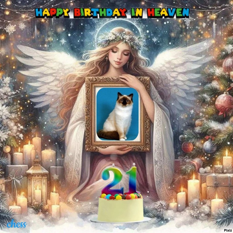 Ultima Maripeq of the Ada family