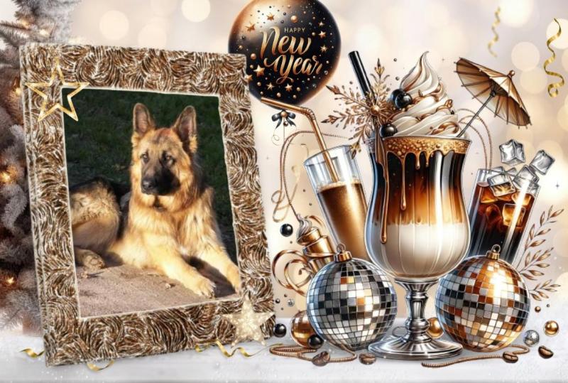 Buddy of the Ada family