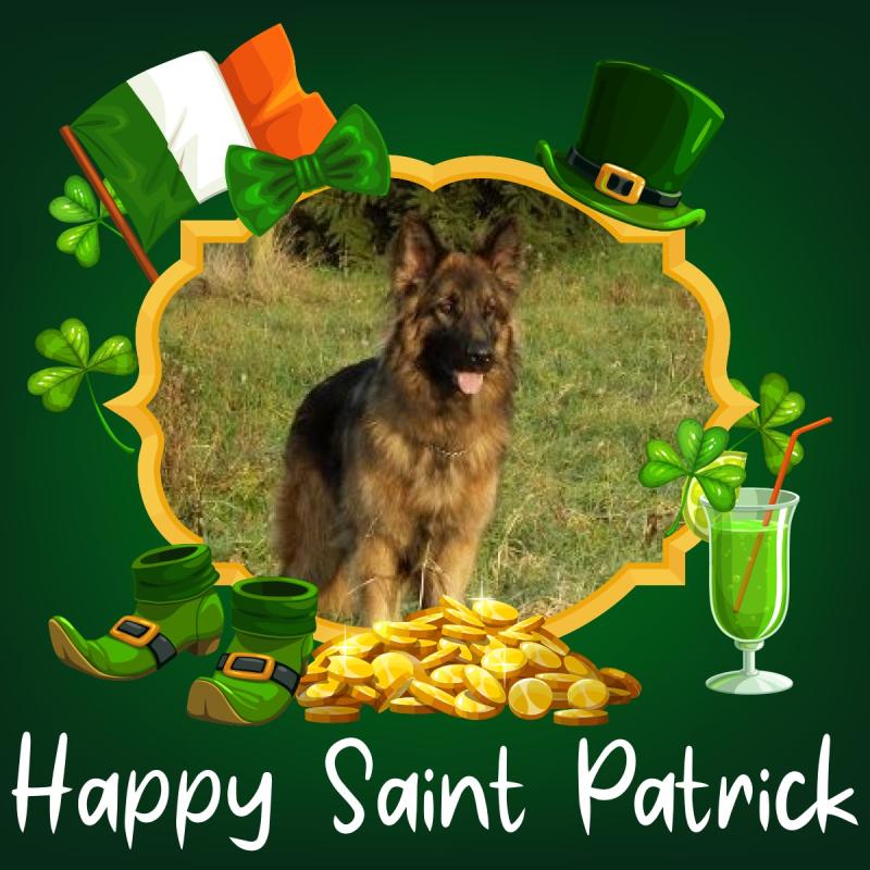 Ada uploaded   32  day/s  ago