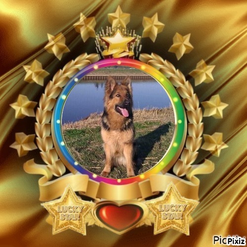 Buddy of the Ada family