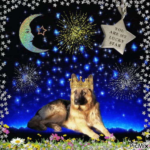 Buddy of the Ada family