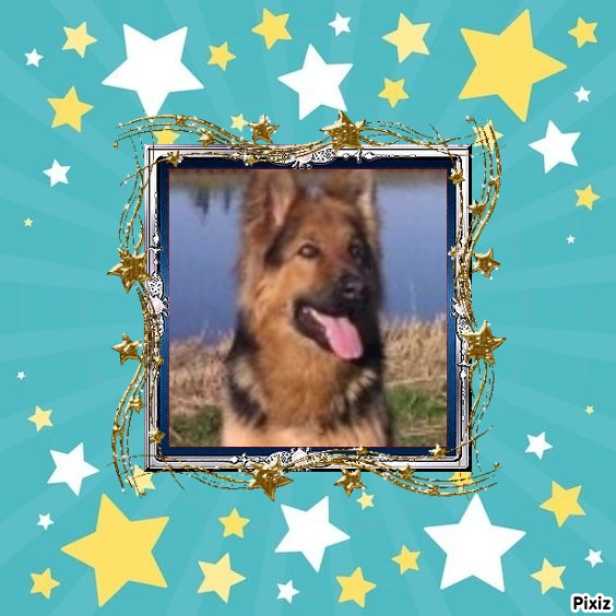 Buddy of the Ada family