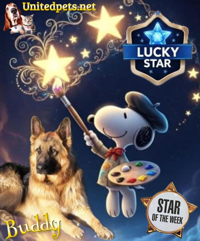 Buddy of the Ada family