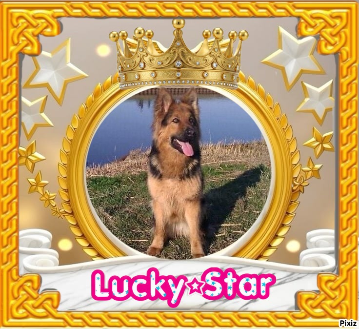 Ada uploaded   27  day/s  ago