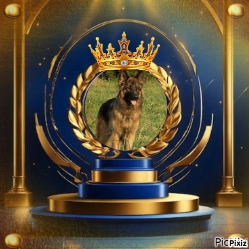 Ada uploaded   27  day/s  ago