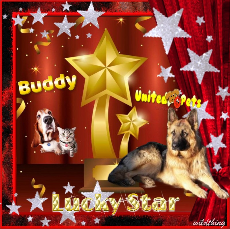 Buddy of the Ada family