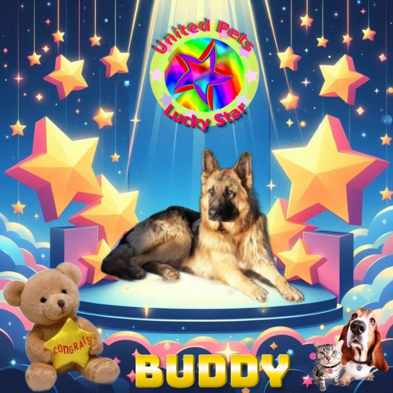 Buddy of the Ada family