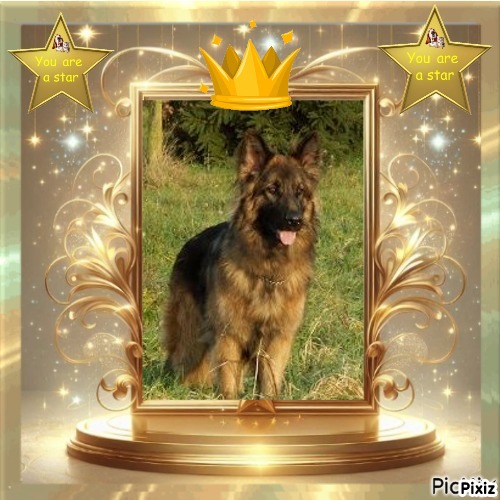 Ada uploaded   27  day/s  ago