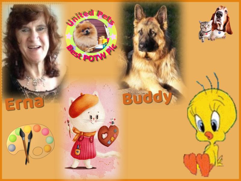 Ada uploaded   32  day/s  ago