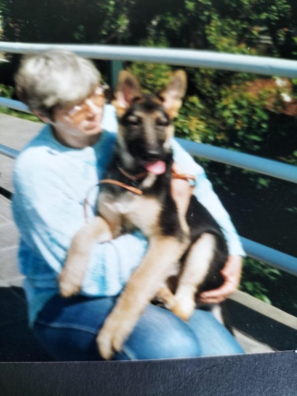 Buddy of the Ada family