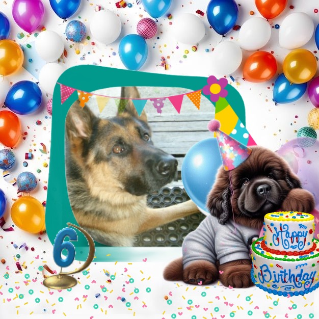 Buddy of the Ada family