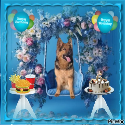 Buddy of the Ada family