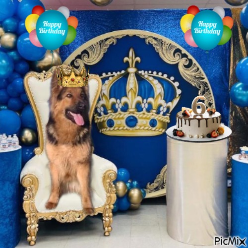 Buddy of the Ada family