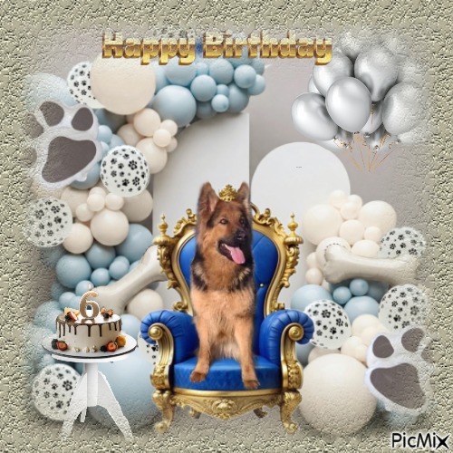 Buddy of the Ada family