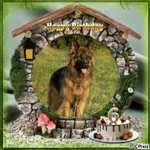 Buddy of the Ada family