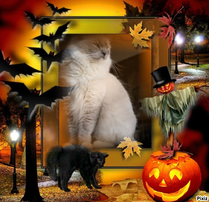 Dewi of the Ada family