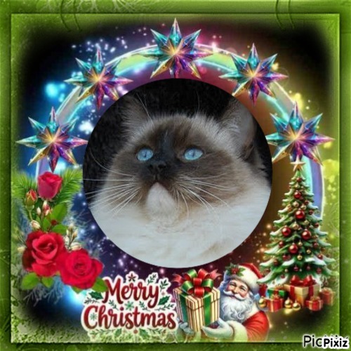 Dewi of the Ada family