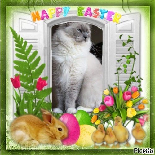 Dewi of the Ada family