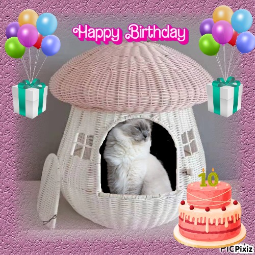 Dewi of the Ada family