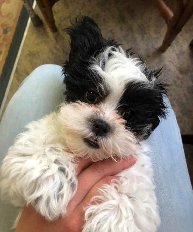 Ada uploaded   3 year/s ago