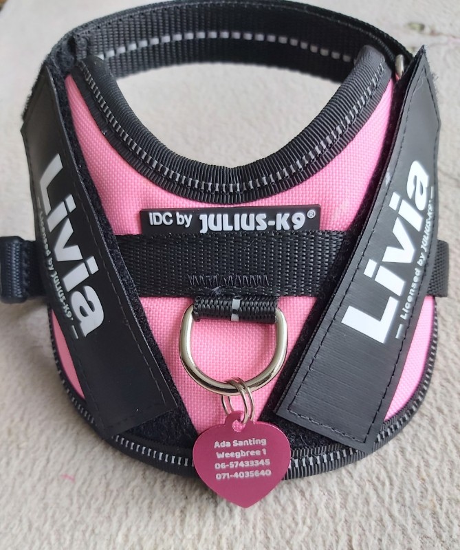 Ada uploaded   3 year/s ago