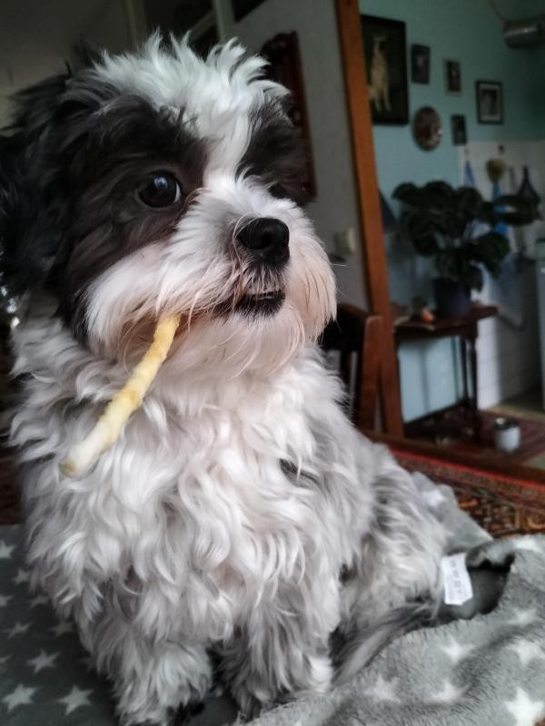 Ada uploaded   3 year/s ago