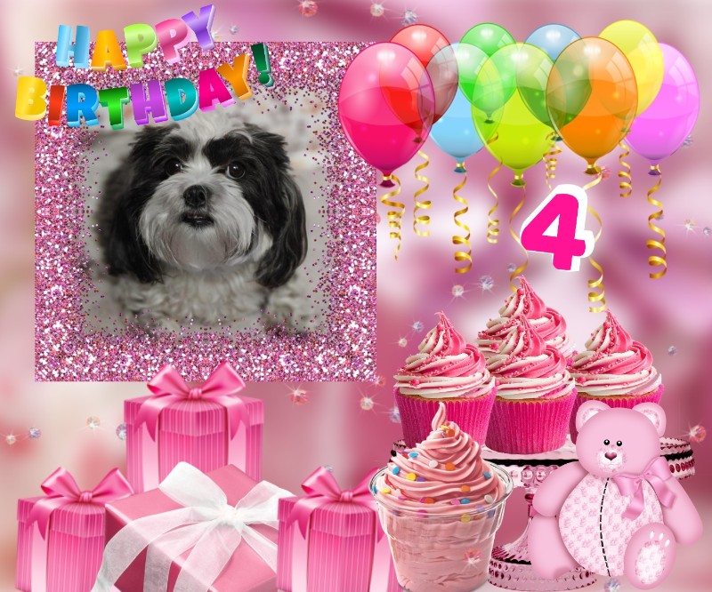 Ada uploaded   33  day/s  ago