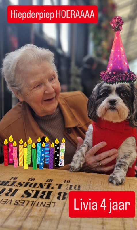 Ada uploaded   33  day/s  ago