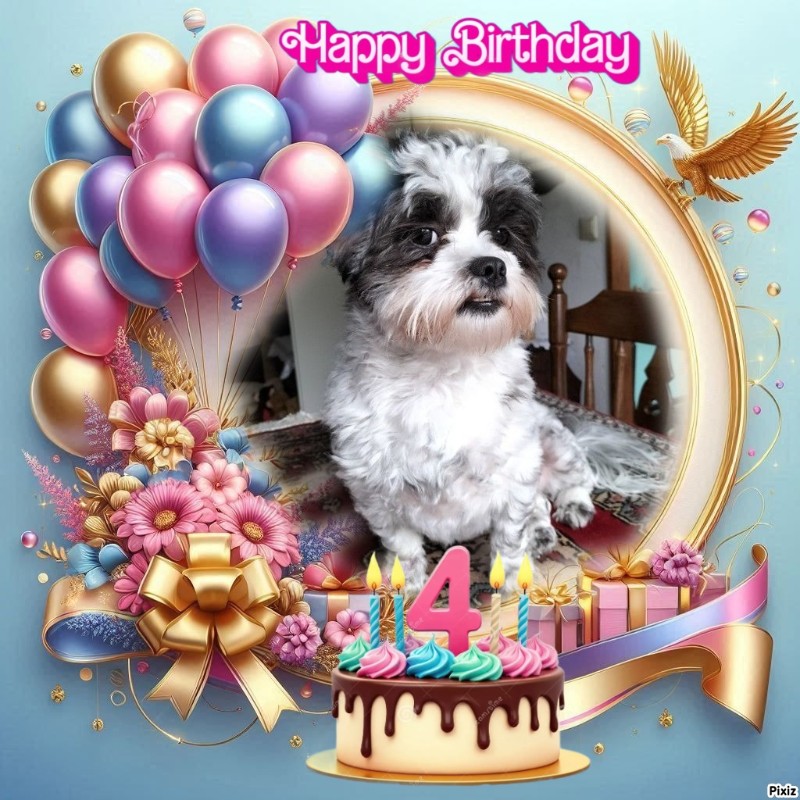 Ada uploaded   33  day/s  ago