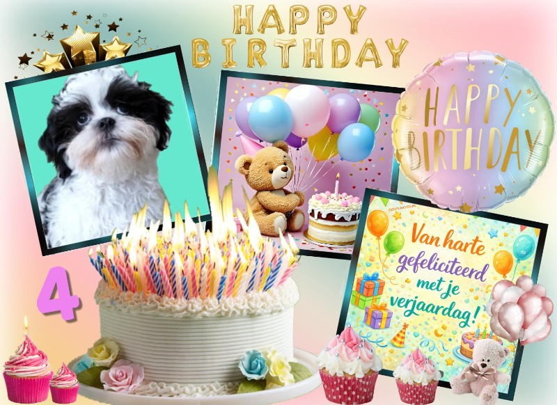 Ada uploaded   33  day/s  ago