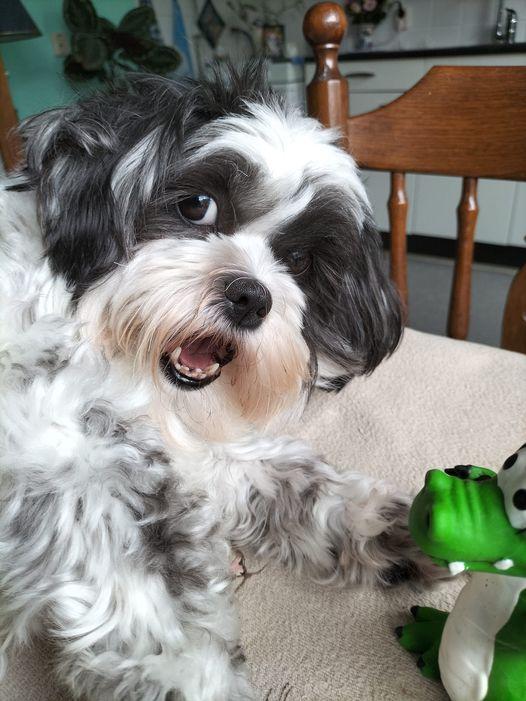 Ada uploaded   1 year/s ago