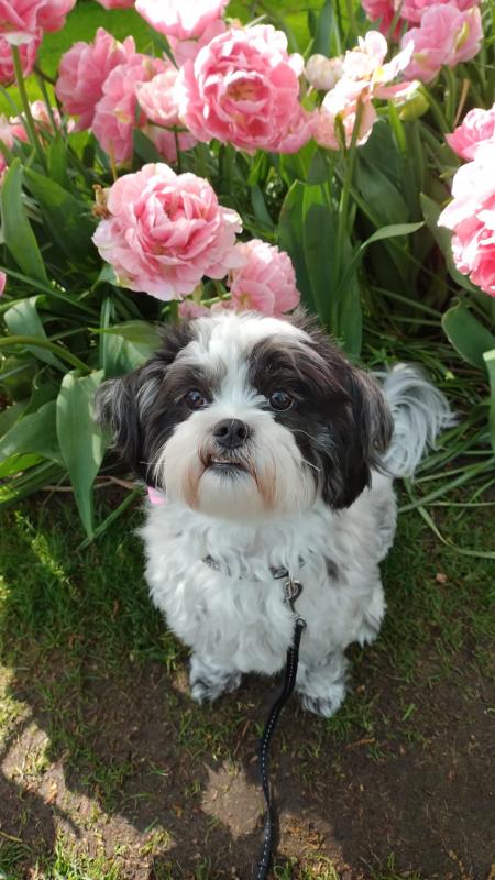 Ada uploaded   1 year/s ago