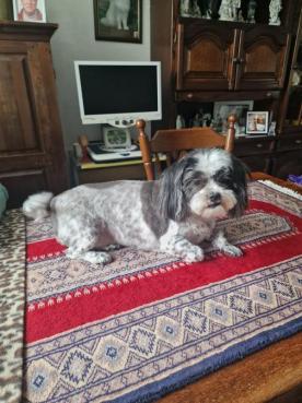 Ada uploaded   273  day/s  ago