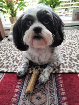 Ada uploaded   261  day/s  ago