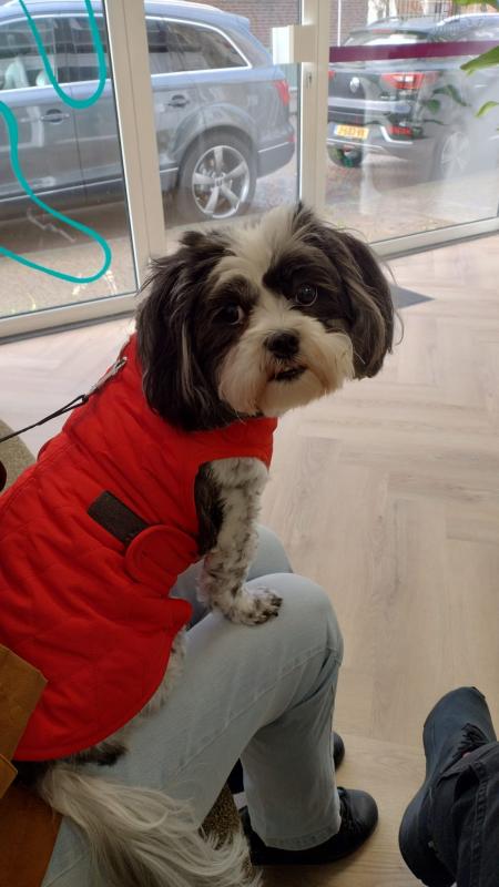 Ada uploaded   93  day/s  ago