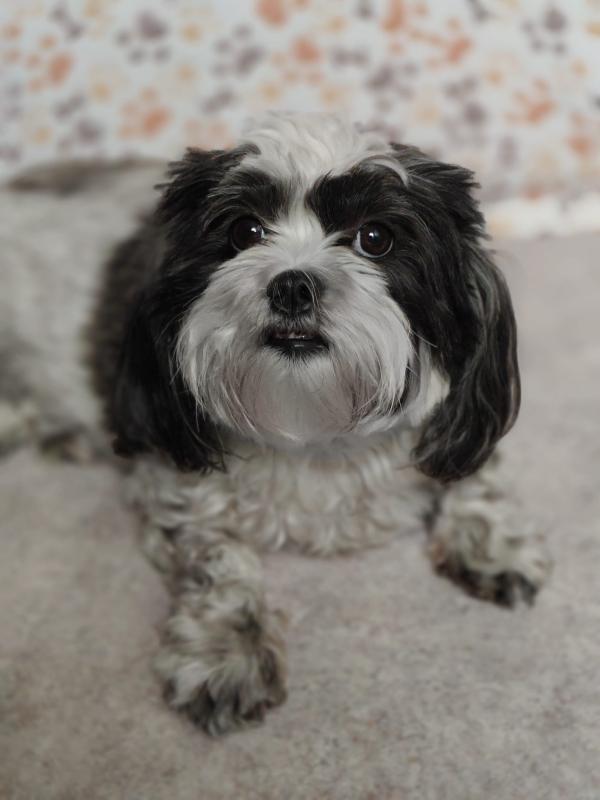 Ada uploaded   35  day/s  ago