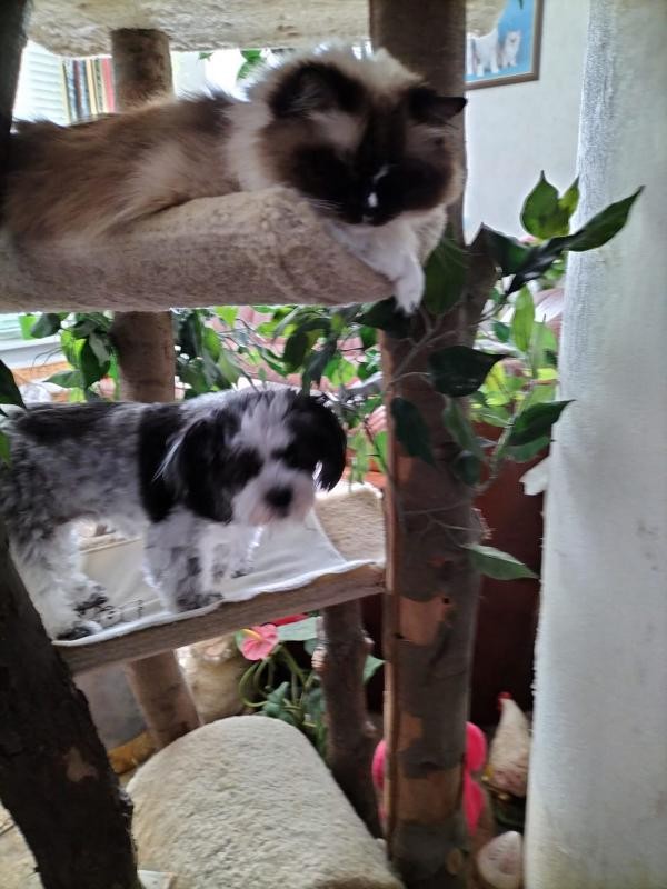 Ada uploaded   280  day/s  ago