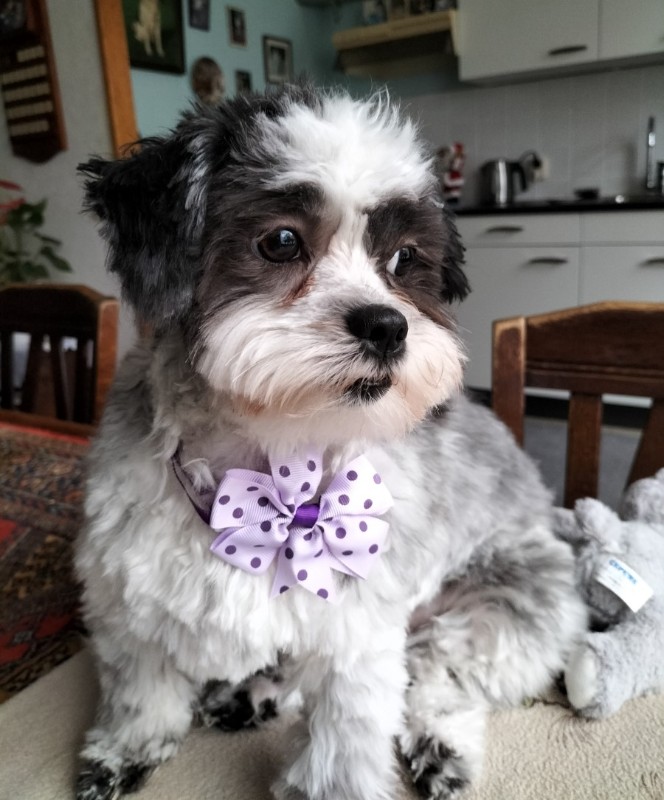 Ada uploaded   2 year/s ago