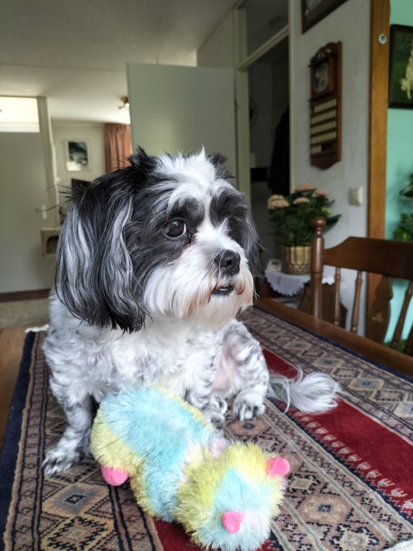 Ada uploaded   364  day/s  ago