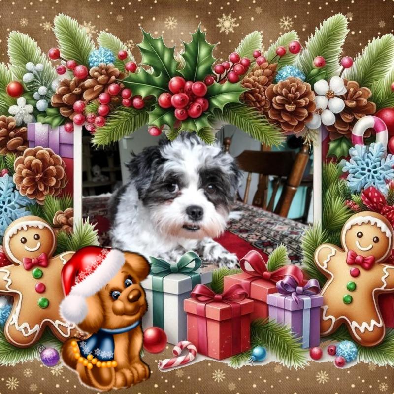 Livia of the Ada family