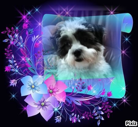 Ada uploaded   98  day/s  ago