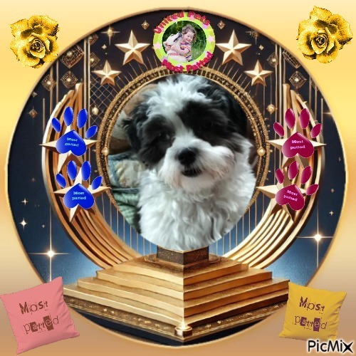 Ada uploaded   97  day/s  ago